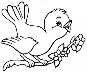 660 Gambar Kartun Burung Untuk Mewarnai Gratis