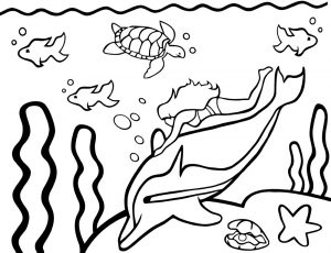 Mewarnai Binatang Laut Lumba Lumba