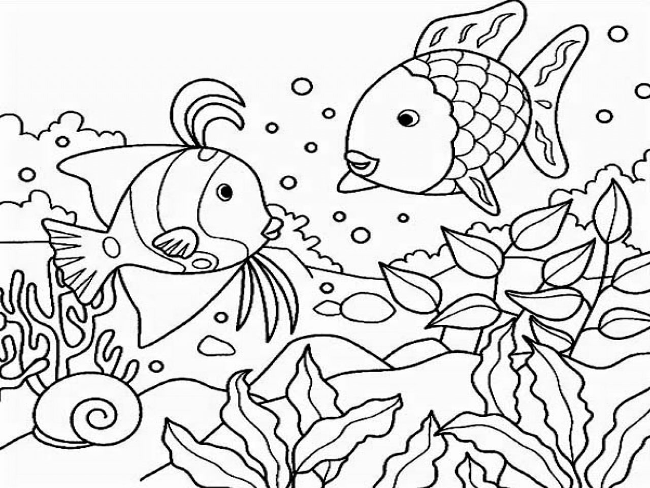 Mewarnai Gambar Binatang Sketch Coloring Page Mewarnai Gambar Binatang Sketch Coloring Page