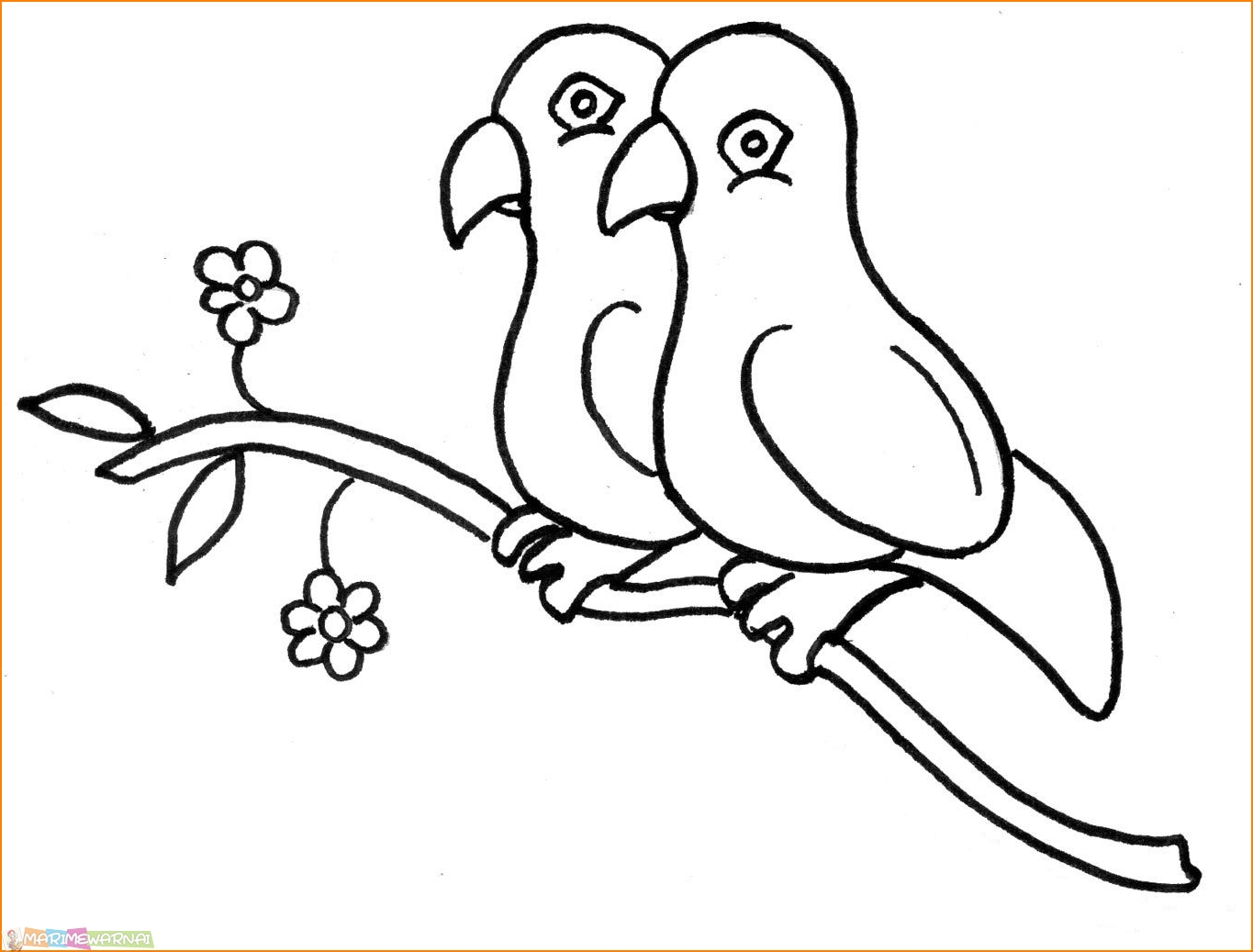 Sketsa Hewan Burung Pipit