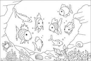Sketsa Hewan Laut Ikan