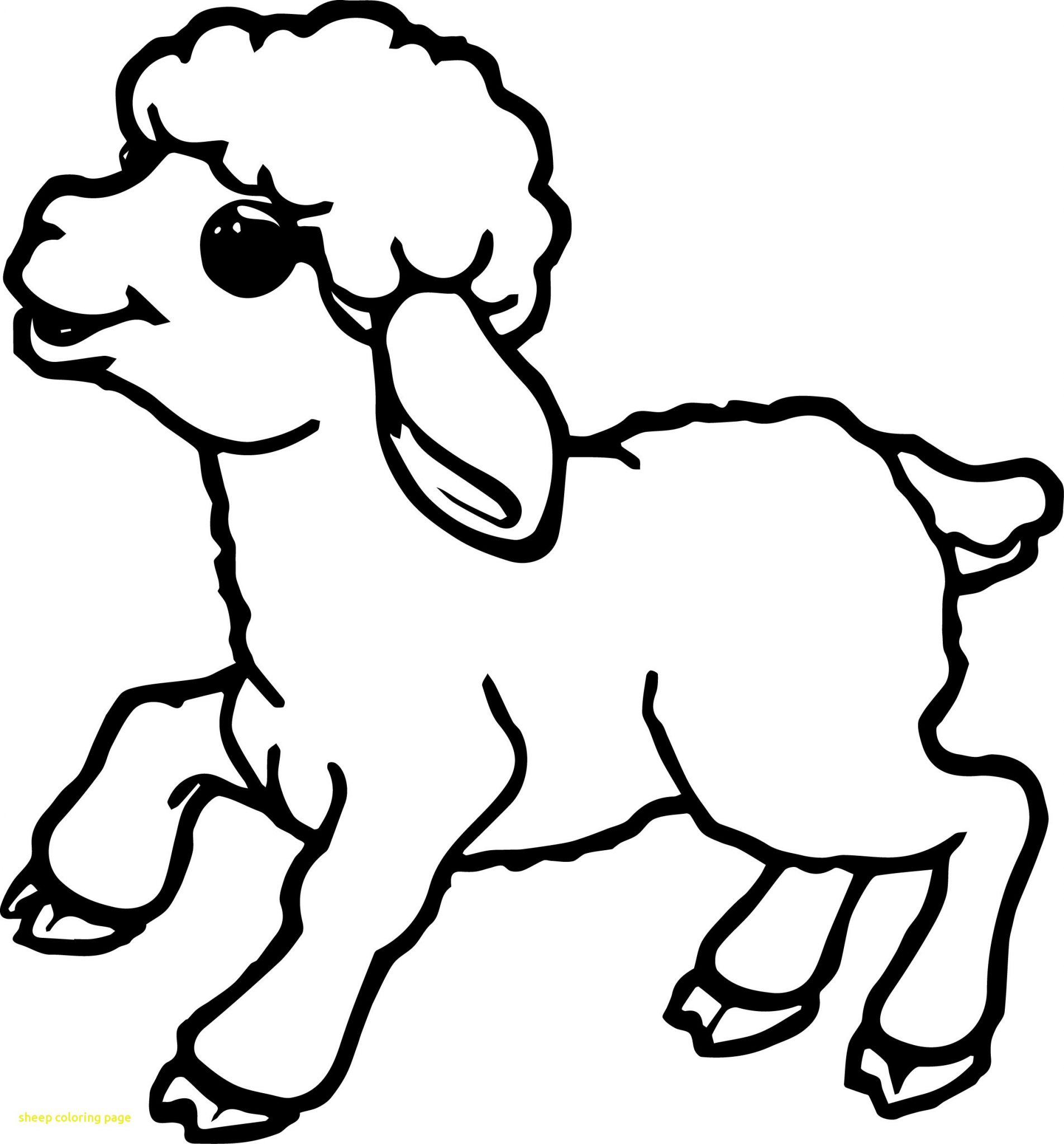 900 Gambar Hewan Domba Kartun Gratis Terbaik